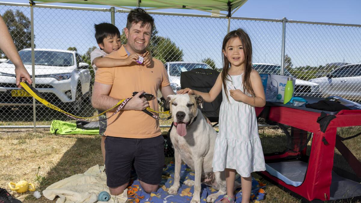Ben Campbell with children Oliver, 7, and Charlotte, 6, pose with dog Hunter at the ACT Rescue and Foster adoption day in Holder. Picture by Gary Ramage
