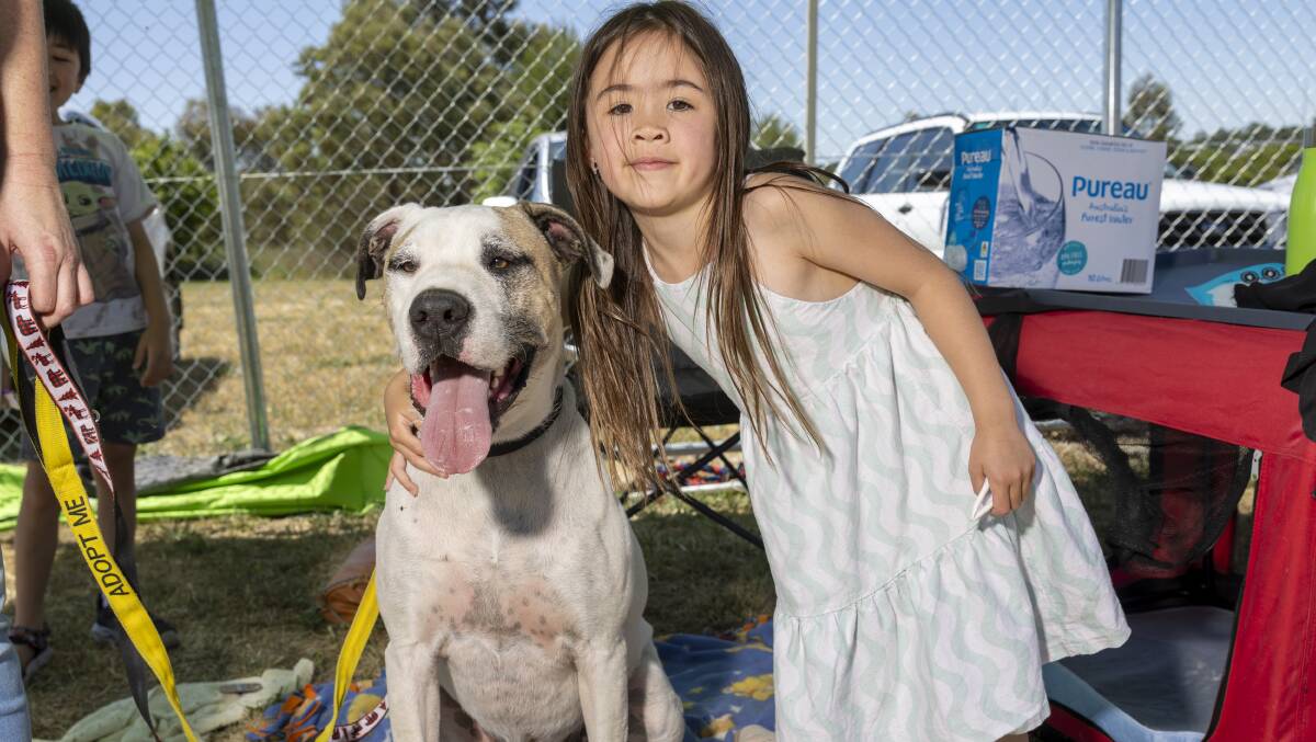Hunter and Charlotte Campbell, 6, at the ACT Rescue and Foster adoption day. Picture by Gary Ramage 