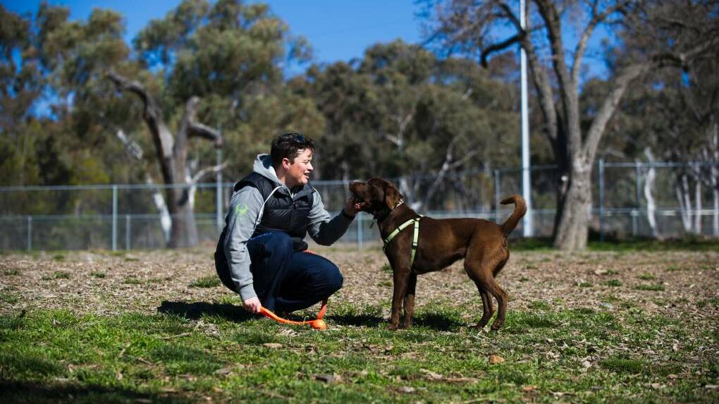 New and upgraded dog parks to be installed in the ACT. Picture: Rohan Thomson 