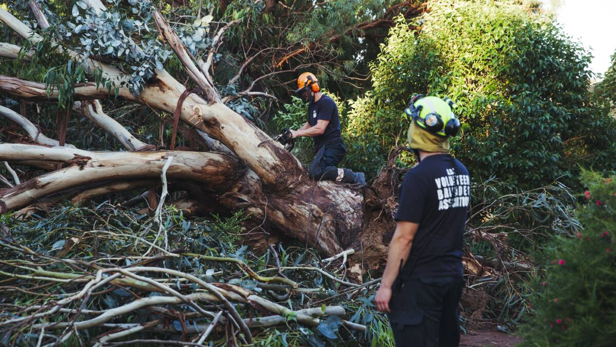 Emergency services respond to a fallen tree in Holt. Picture: Dion Georgopoulos