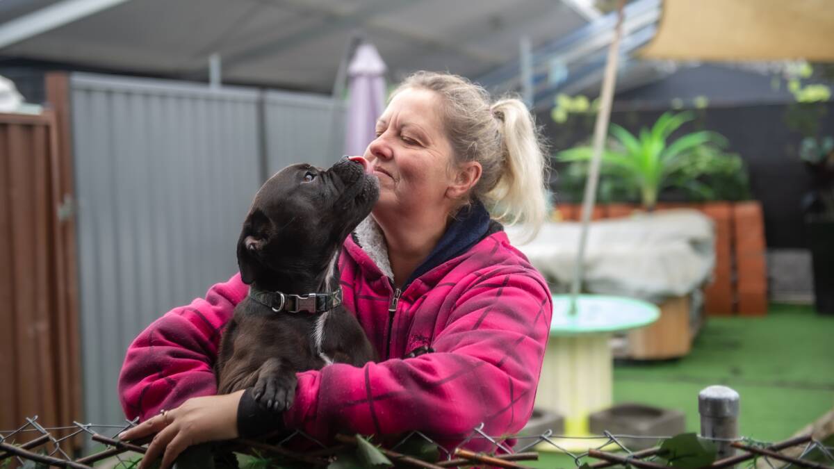 Staffy X Doug gives Ms Decker a kiss. Picture: Karleen Minney