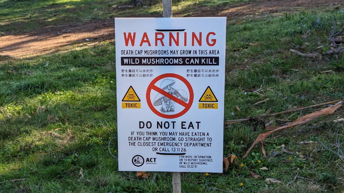A sign warning of death cap mushrooms. Picture supplied