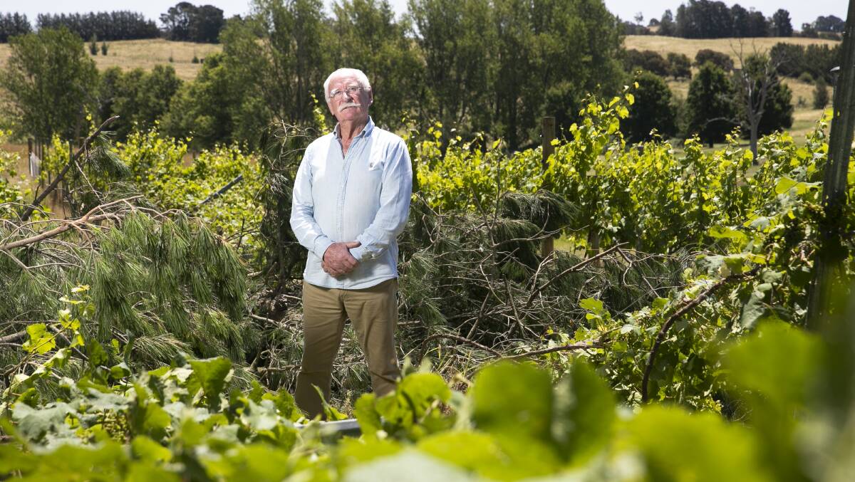 Ken Helm of Helm Wines in his damaged vineyard. Picture: Keegan Carroll