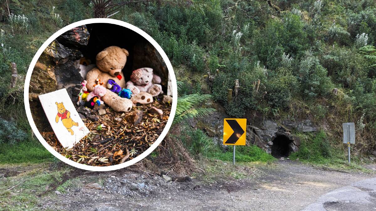 Pooh's Corner has lost its teddies and sign. Picture by Rob May, inset by Dion Georgopoulos