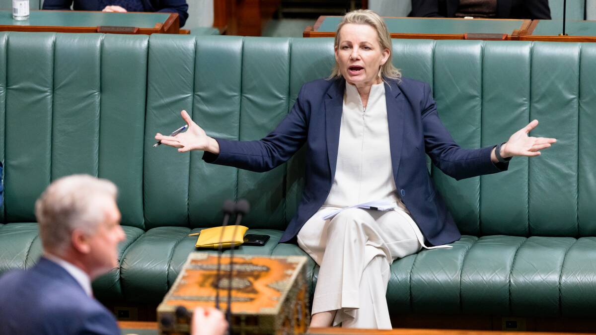 Deputy Leader of the Opposition Sussan Ley. Picture by Sitthixay Ditthavong