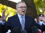 Anthony Albanese claims the Greens could back a Coalition government. Picture: AAP