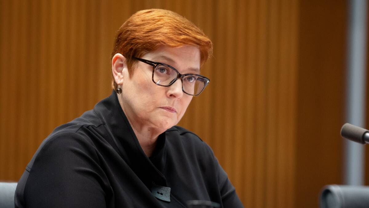 Marise Payne has warned of 'arc of autocracy' threatneing the Pacific. Pciture: Sitthixay Ditthavong
