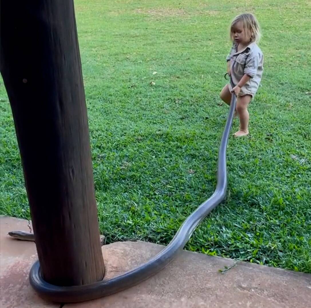 Outback Wrangler Matt Wright's son handles a snake in Aussie viral video |  The Canberra Times | Canberra, ACT