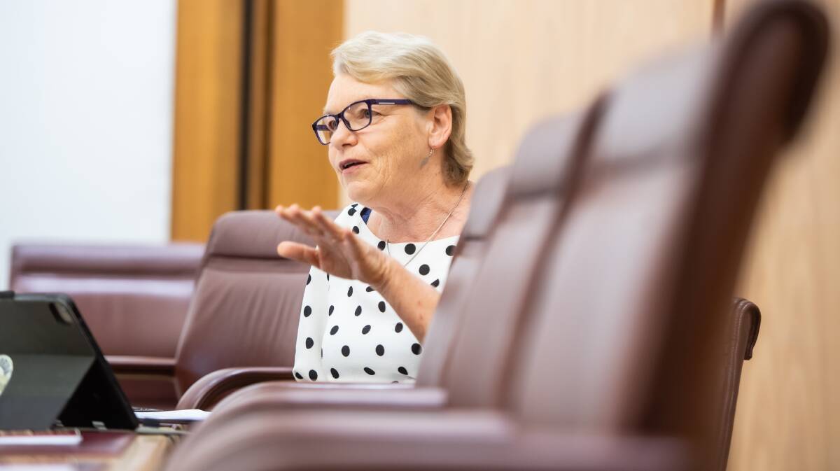 Greens senator Janet Rice chaired the hearing into poverty. Picture by Karleen Minney