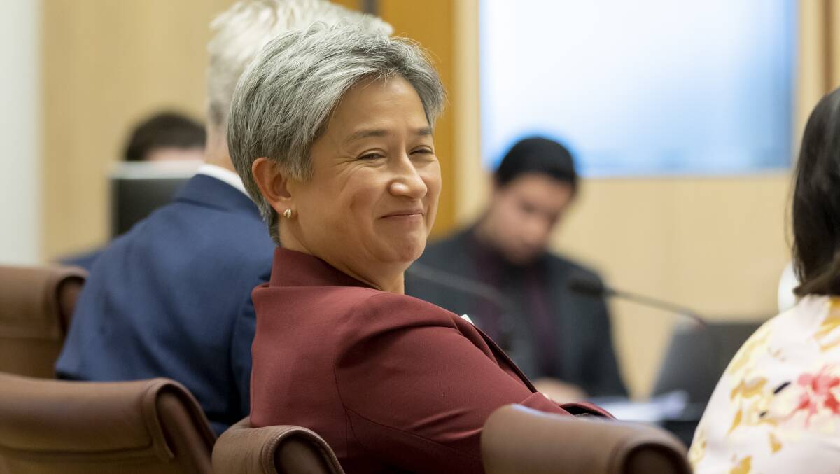 Foreign Affairs Minister Penny Wong has received 1048 ministerial briefings from DFAT. Picture by Keegan Carroll