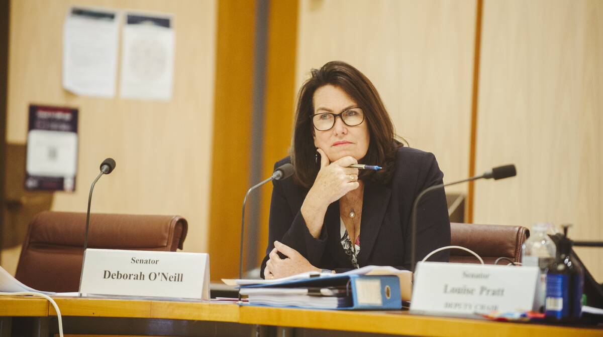 Labor senator Deborah O'Neill has questioned Colliers' conflict of interest. Picture by Dion Georgopoulos 