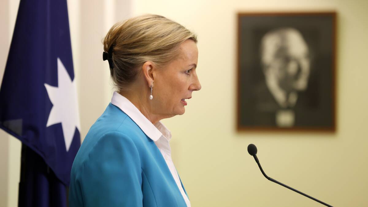 Deputy Leader of the Opposition Sussan Ley has welcomed Maria Kovacic's preselection. Picture by James Croucher