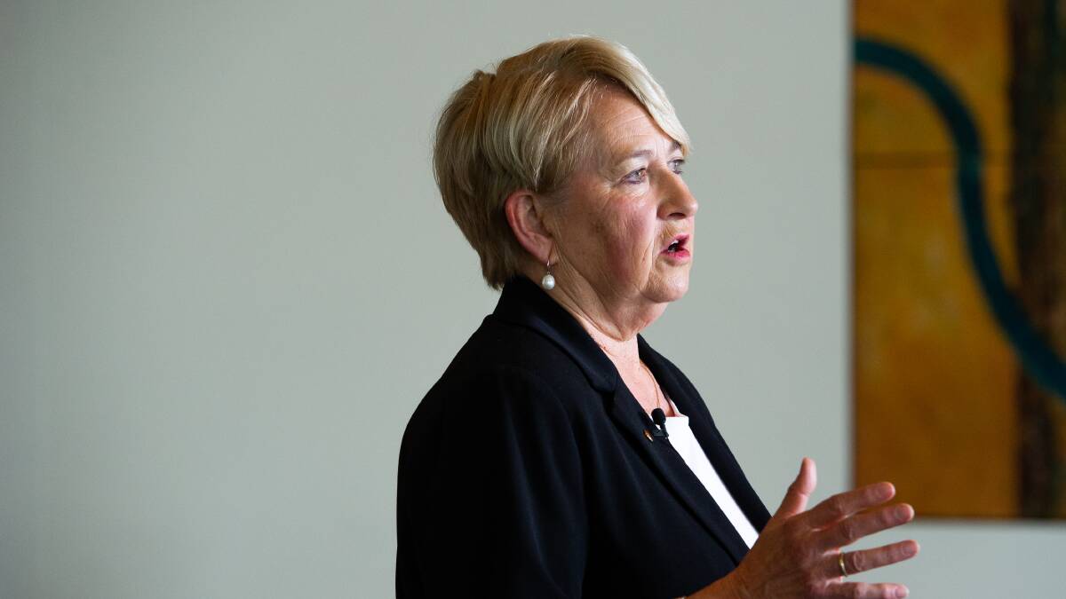 Greens senator Barbara Pocock backs CPSU's 20 per cent pay claim to rebuild APS capability. Picture by Elesa Kurtz