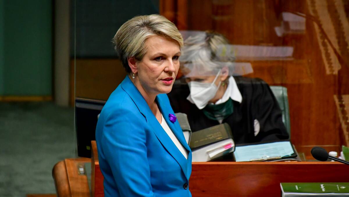 Minister for the Environment and Water Tanya Plibersek. Picture by Elesa Kurtz