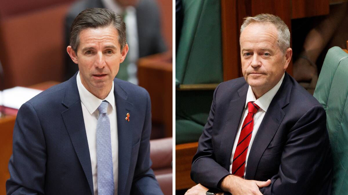 The political stoush emerged on Thursday when Senator Simon Birmingham, left, criticised answers to questions on notice by NDIS Minister Bill Shorten. Pictures by Sitthixay Ditthavong, Keegan Carroll