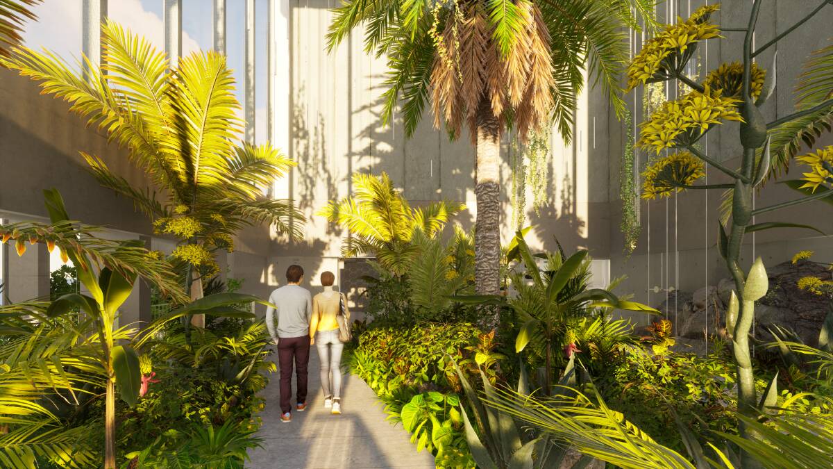 An artist's impression of inside the conservatory, which will house tropical plants from around Australia. Picture supplied