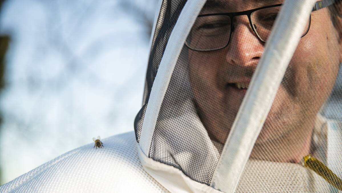 Bee Keeper Cormac Farrell manages the increased bee colonies. Picture: Keegan Carroll