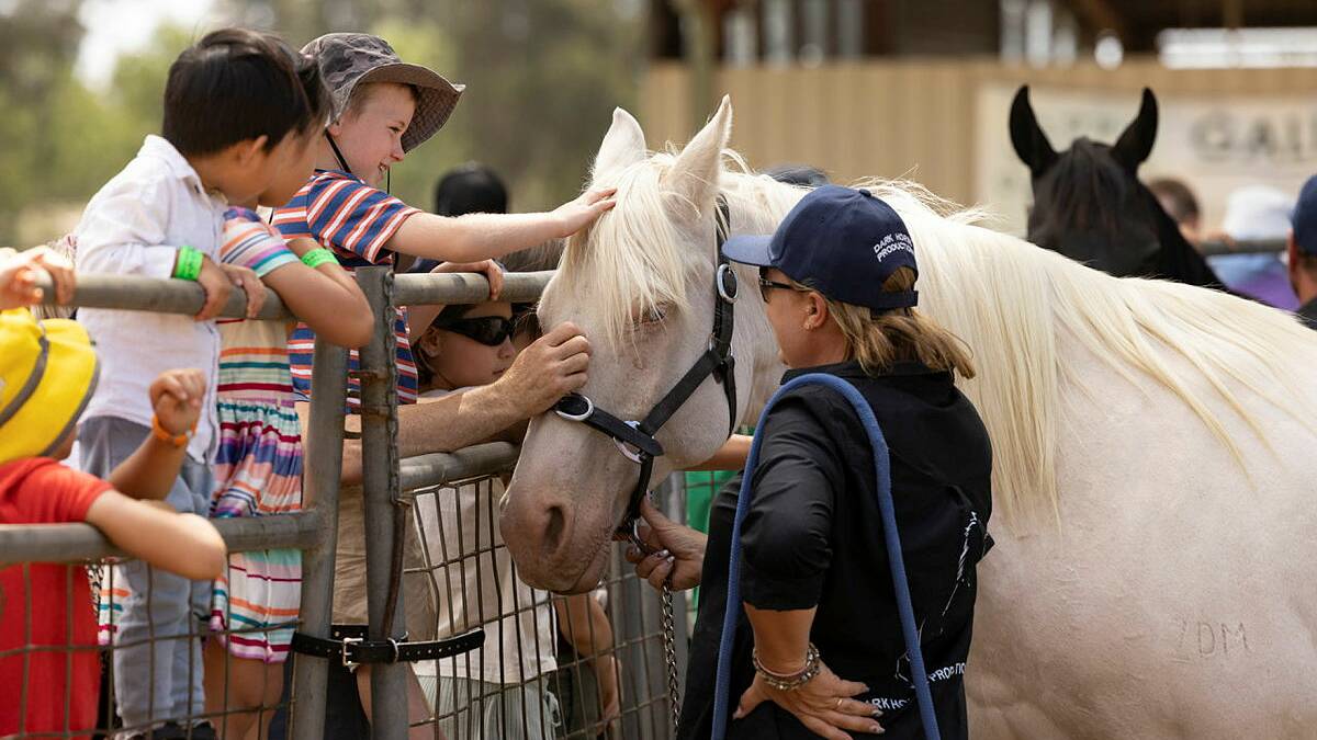 Kids pat a horse part of the show's Movie Horse Experience. Picture by Keegan Carroll