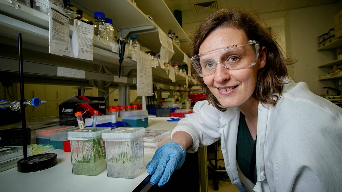 Associate Professor Caitlin Byrt, science advisor for space start-up Lunaria One with plant specimens. Picture by Elesa Kurtz