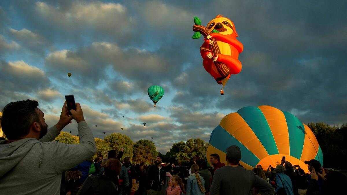 Tico the sloth hot air balloon at Enlighten's Balloon Spectacular on Patrick White Lawns. Picture by Elesa Kurtz