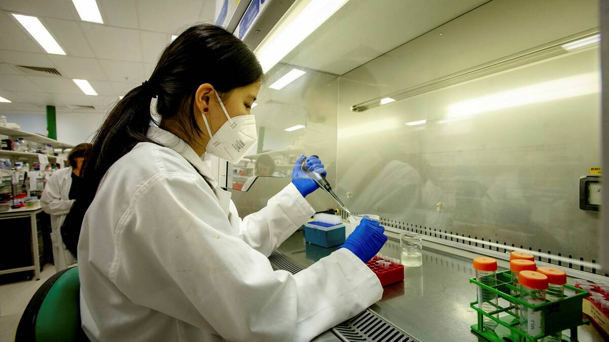 ANU honors student, Rose Zhang, characterising proteins in plant for agricultural improvement. Picture by Elesa Kurtz