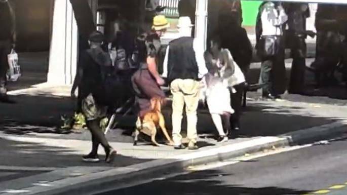 James Robson, in the straw hat, approaches the victim in CCTV footage of the assault. Picture: Supplied
