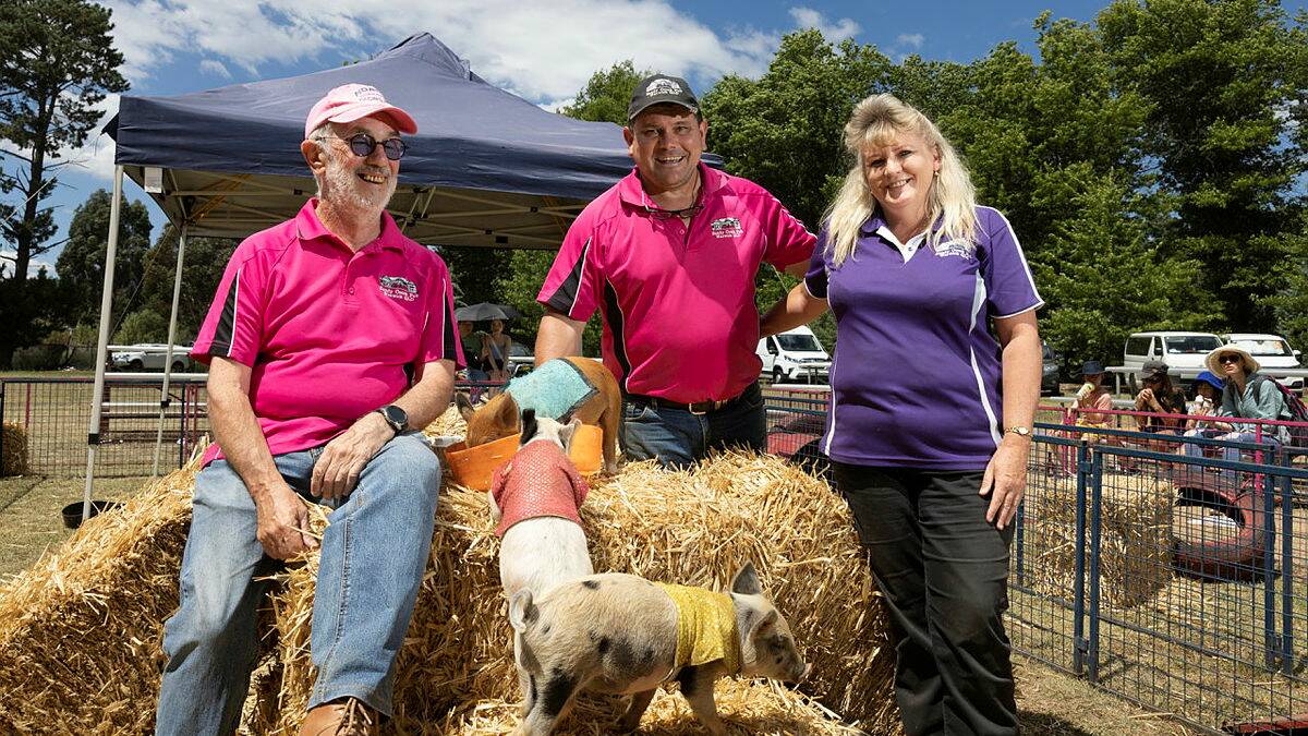 Kevin Kilroy, Rob McGowen and Kaylene McMinn bring pig races to the show. Picture by Keegan Carroll