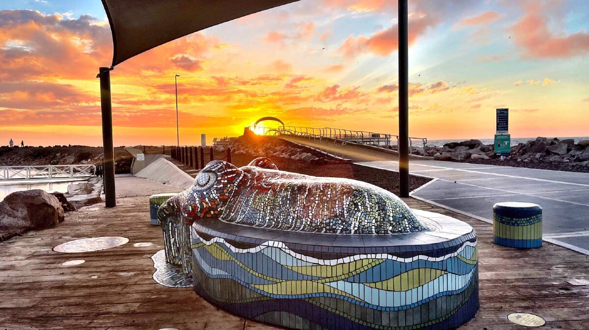 'Accessible Cuttlefish Throne' by Karen Carr is a finalist for Best Landmark Sculpture. Picture: Facebook/Australian Street Art Awards.