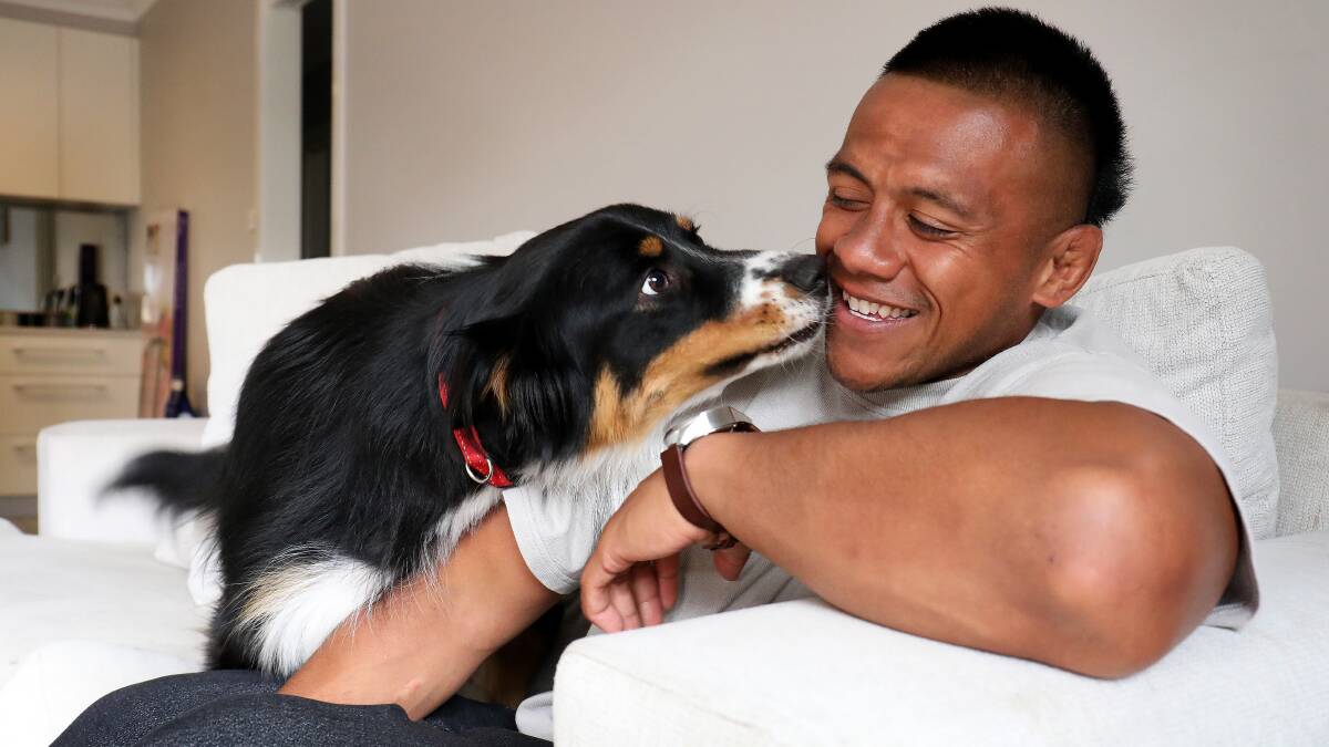 Brumbies captain Allan Alaaltoa and his dog Tyson. Picture by James Croucher