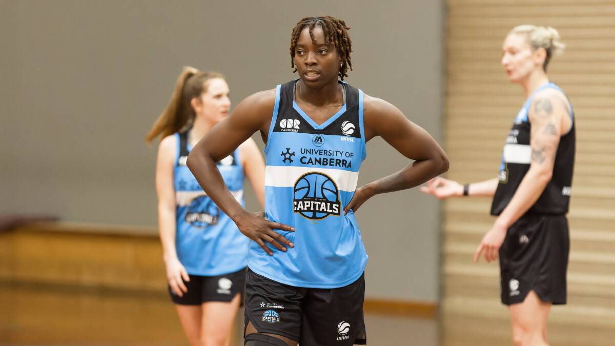 Canberra recruit Dekeiya Cohen will be a highlight for the Capitals' offense this season. Picture by Sitthixay Ditthavong