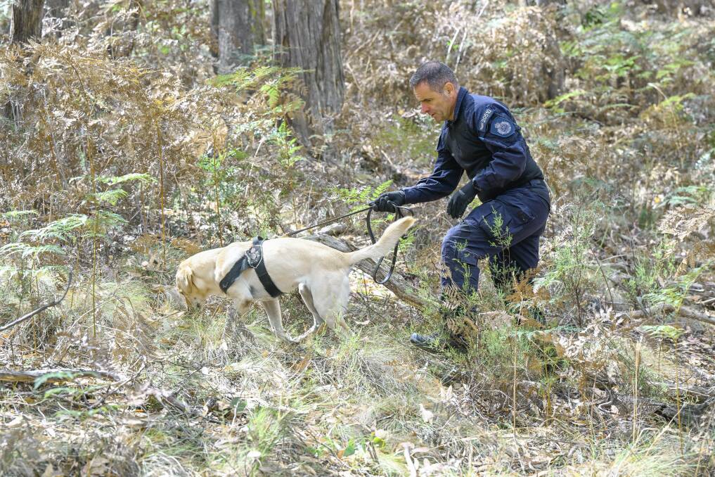 Police searching in Buninyong on March 20 for Samantha Murphy. Picture by Joe Armao