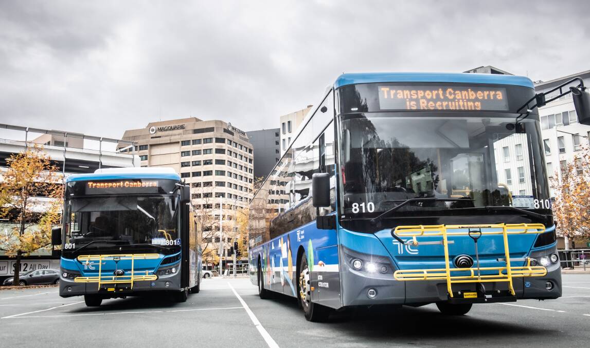 Transport Canberra's electric buses. Picture by Karleen Minney