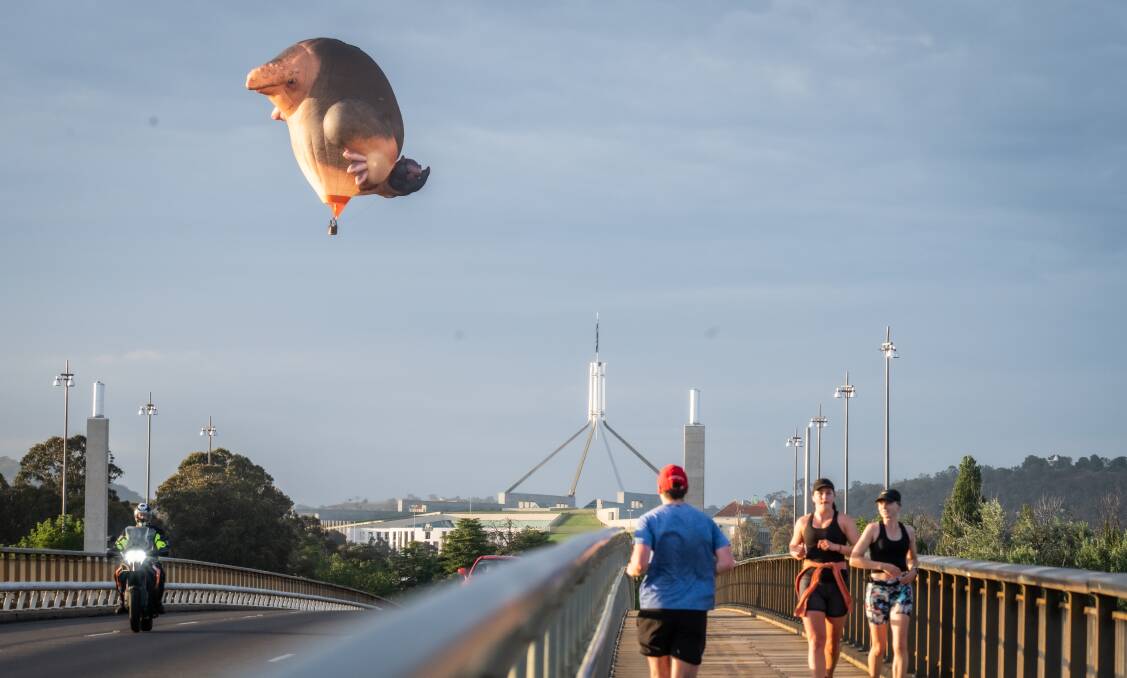 Skywhale and Skywhalepapa suprise Canberrans with a secret test flight for conservation purposes. Picture by Karleen Minney