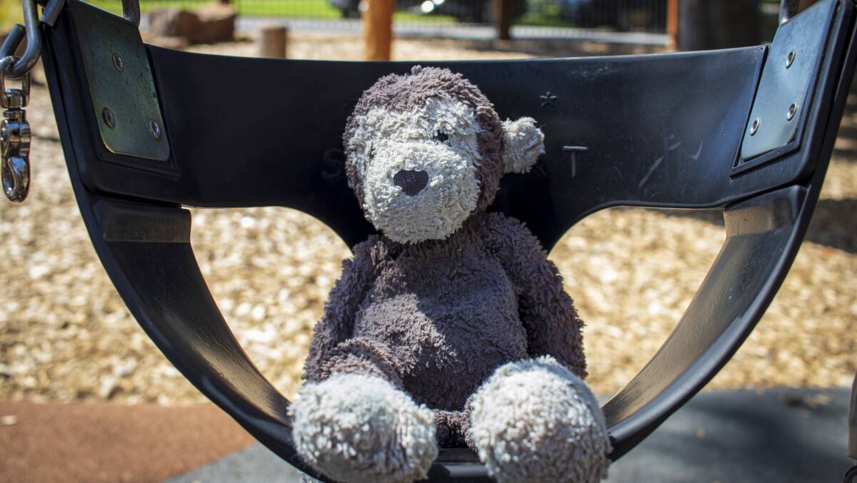 Monkey playing on the swings at Apex Park, Wangaratta. Picture by Layton Holley