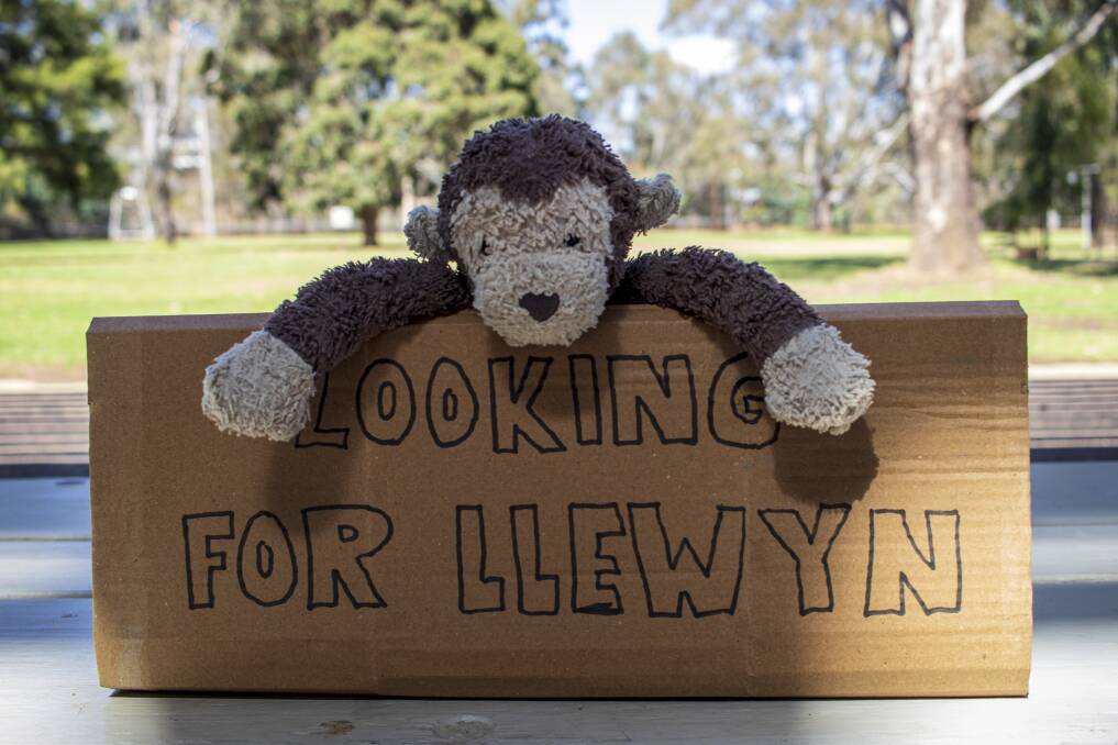 Monkey is on the long journey home to his best friend, Llewyn, after being left behind in a Glenrowan rest stop. Picture by Layton Holley
