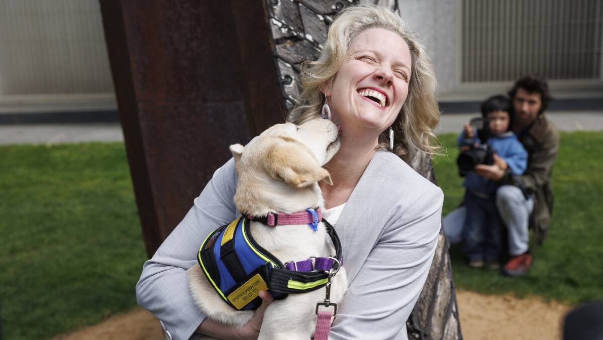 Minister for Home Affairs Clare O'Neil with 16-week-old Seeing Eye Dog puppy Lana. Picture by Keegan Carroll
