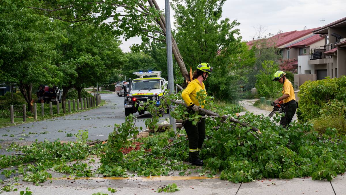 SES with Parks and Conservation crews clean up after storm. Picture by Elesa Kurtz