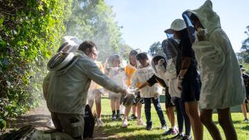 Ngunnawal Primary School students paid a visit to The Lodge's new honeybee colony. Picture by Elesa Kurtz.