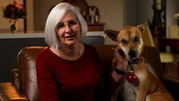 Sparkles the dog, captured in a Christmas video with the Services Australia boss. Picture supplied.