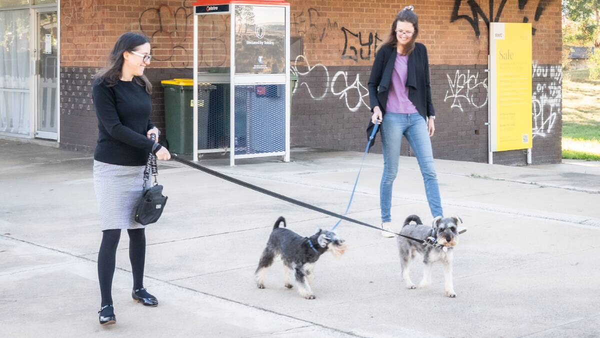 Melanie Tacey and Pauline Unterberger with their dogs Hubble and Hilda. Picture by Karleen Minney