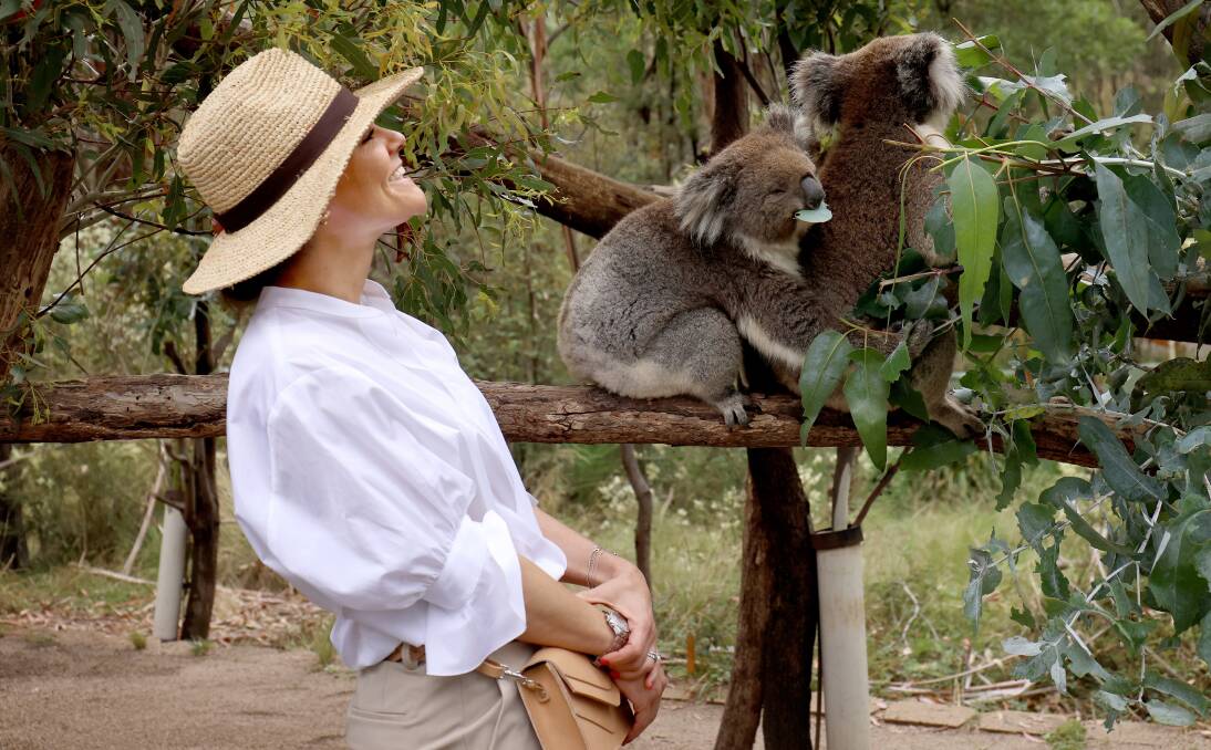 Princess Victoria visited the koala sanctuary at Tidbinbilla Nature Reserve on Monday. Picture by James Croucher