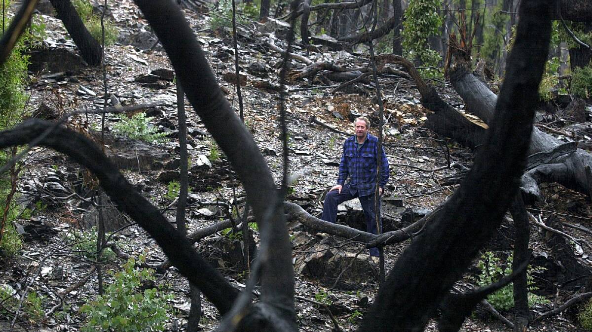 Wayne West in the burnt-out landscape of his Brindabellas property in August 2003. Picture by Gary Schafer