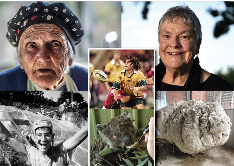 Some likely contenders for a statue in Canberra? (clockwise from top left) soup kitchen ladt Stasia Dabrowski, Brumbies legend George Smith, paediatrician Dr Sue Packham, Chris the sheep, Lucky the koala and Birdman Rally winner George Reekie.
