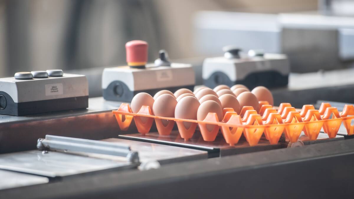 The 20,000 eggs produced each day on the farm can be packed within an hour by a sorting machine, who organises each according to weight. Picture: Karleen Minney