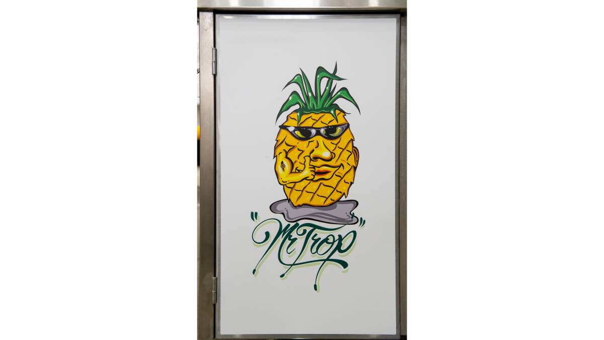 The family all had fruit characters. Frank was the pineapple, the head honcho with the crown, and he was known as Mr Trop. Picture by Elesa Kurtz