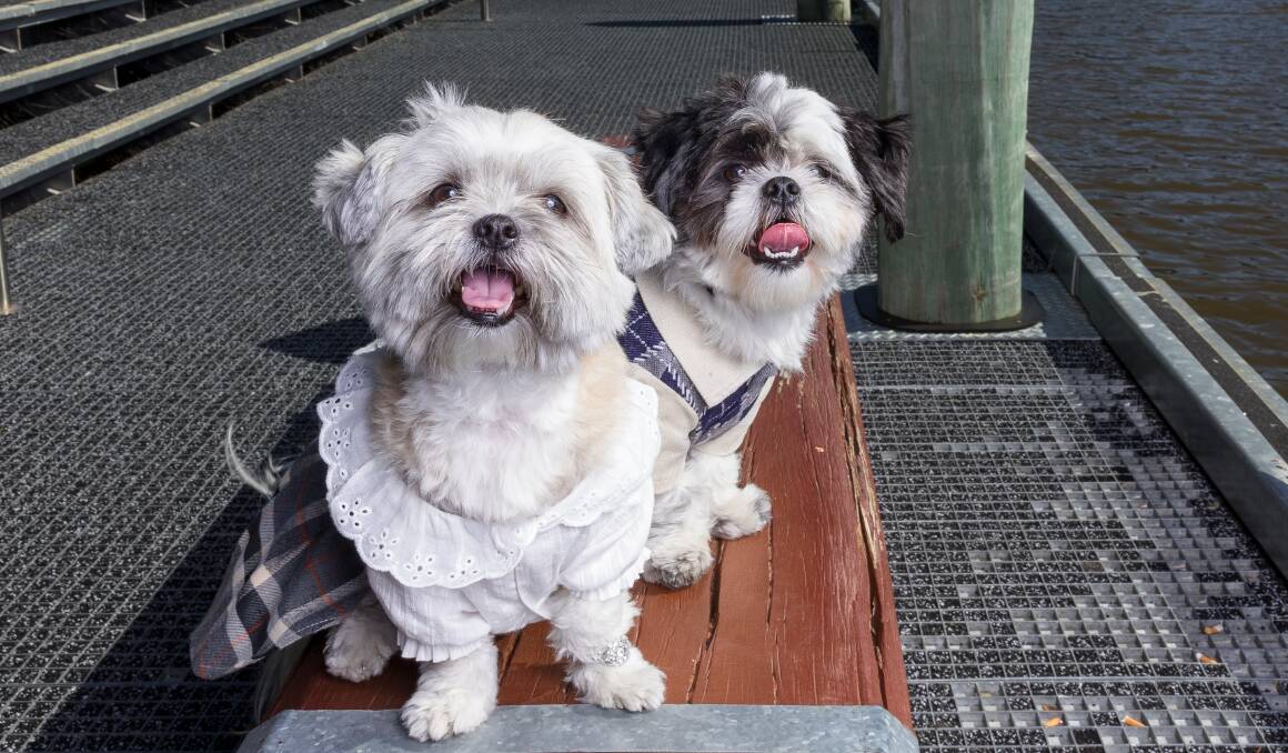 Bailie and Ted say "I do" on Sunday at 2pm at The Dock.