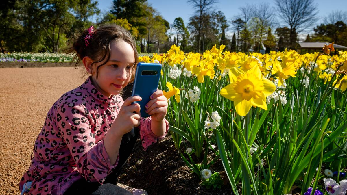 Budding photographer Ava Hope, 7, among the flowers in Commonwealth Park on Friday. Picture: Elesa Kurtz