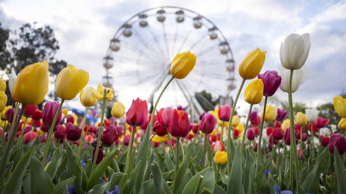 Floriade will bloom again in September and October. Picture supplied 