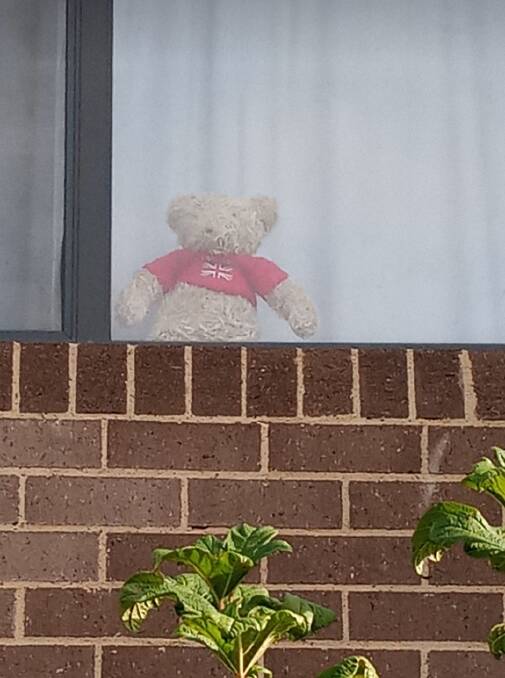 Toys and bears put out for the bear hunts around Canberra. Pictures: supplied.