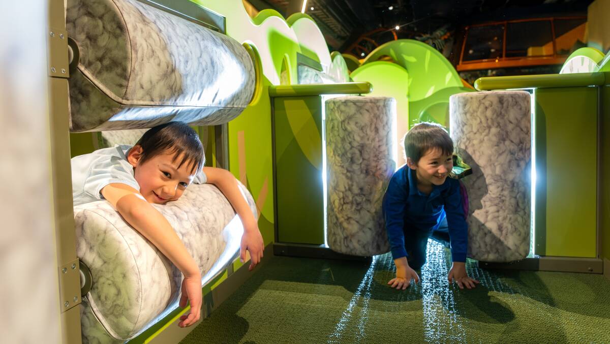 David, 6, and Edward, 4, Siu in the section of the play area inspired by Chris the sheep, with fun, interactive areas inspired by a sheep pen and how wool becomes clothes. Picture by Sitthixay Ditthavong
